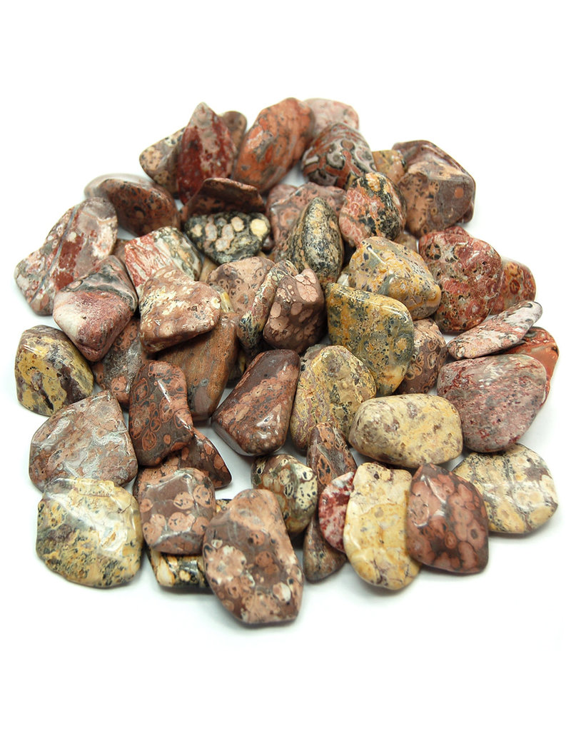 ** Leopardskin Jasper - Large Gemstone Tumbled