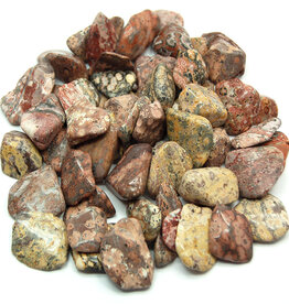 Leopardskin Jasper - Large Gemstone Tumbled