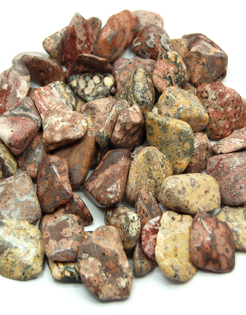Leopardskin Jasper - Large Gemstone Tumbled