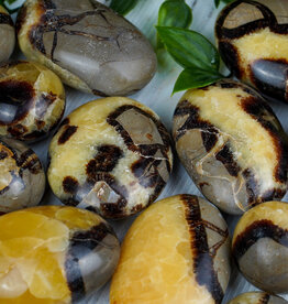 Septarian - Palmstone