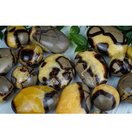 Septarian - Palmstone