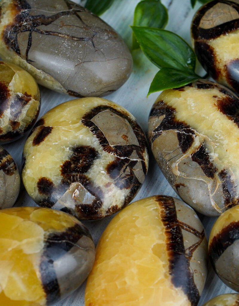 Septarian - Palmstone