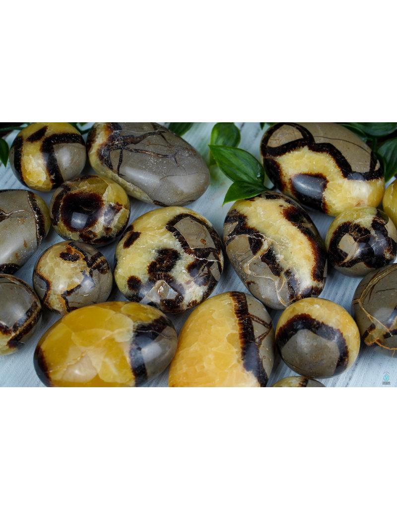 Septarian - Palmstone