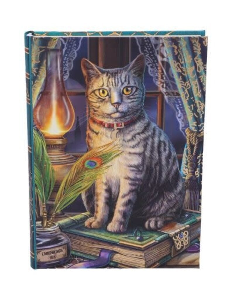 Lisa Parker Book of Shadows Journal (LP) - 17 cm