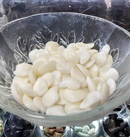 Lucky Stones (Otoliths) - Lake Erie