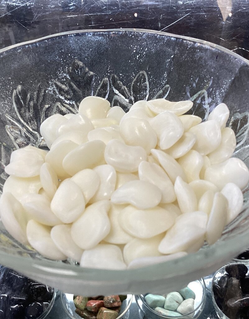 Lucky Stones (Otoliths) - Lake Erie