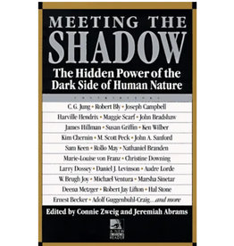 Meeting the Shadow