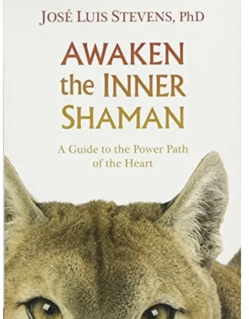 Awaken the Inner Shaman: A Guide to the Power Path of the Heart