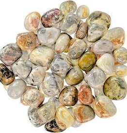 Crazy Lace Agate – Large Gemstone Tumbled