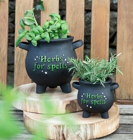 Herbs for Spells Pot Lg