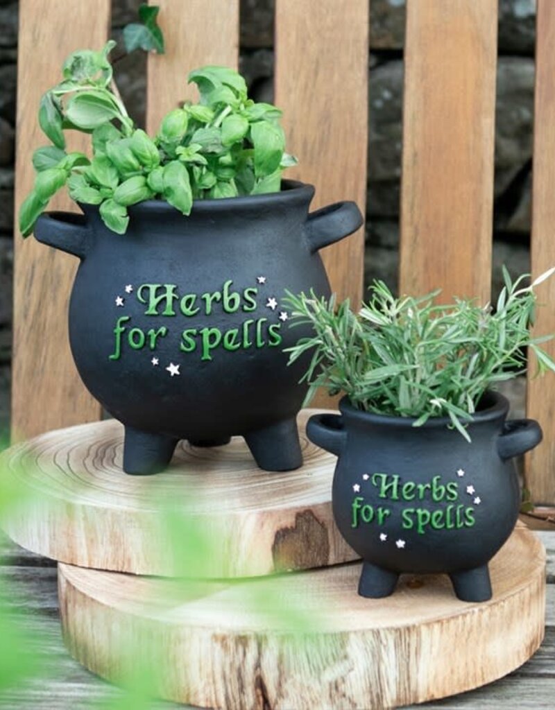 Herbs for Spells Pot Lg