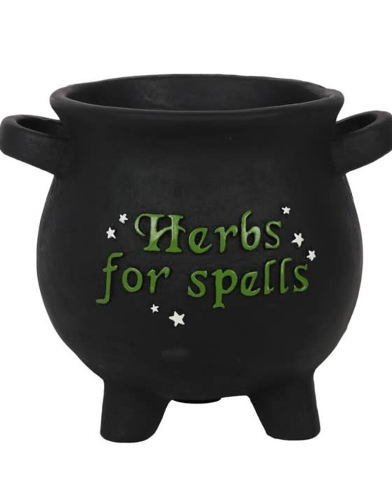 Herbs for Spells Pot Lg