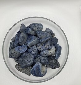 Fossilized Coral (Dyed)