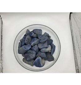 Fossilized Coral (Dyed)