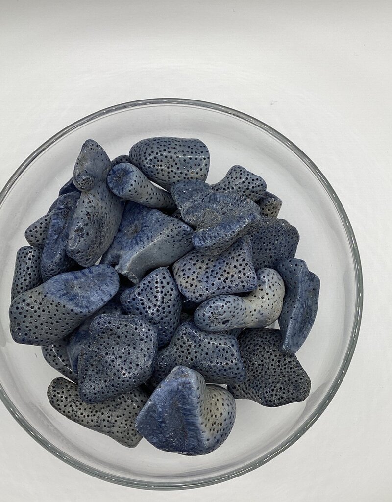 Fossilized Coral (Dyed)