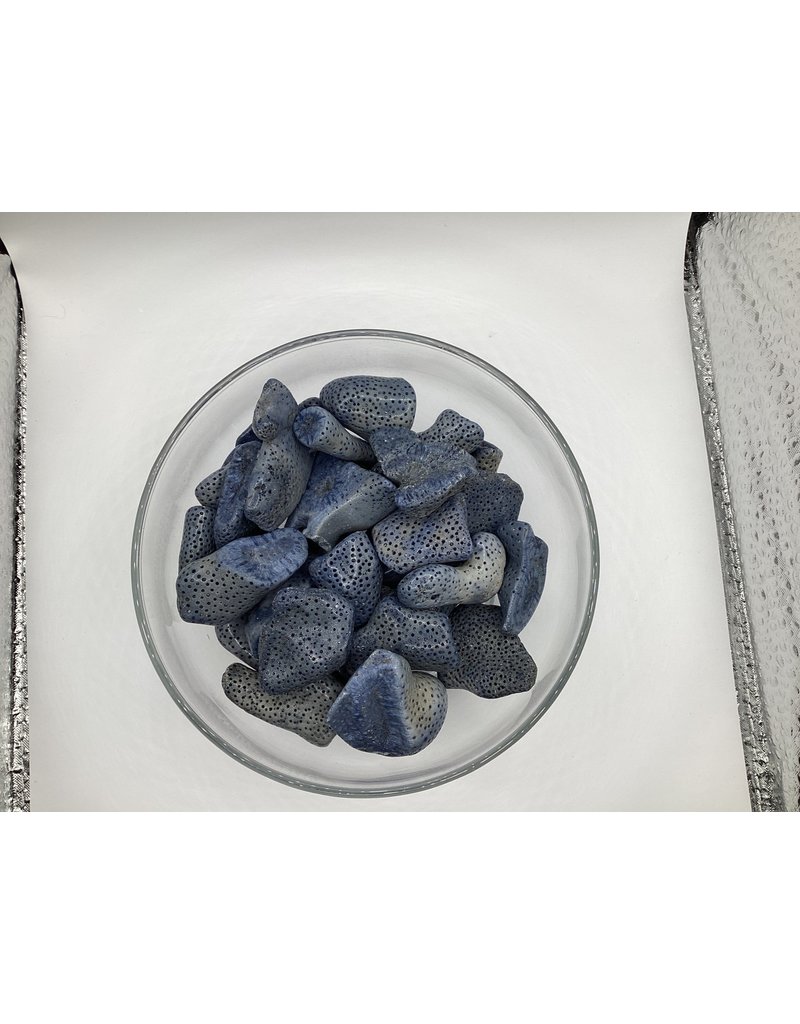 Fossilized Coral (Dyed)