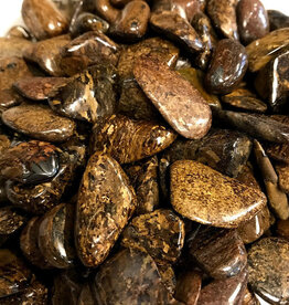Bronzite - Medium Gemstone Tumbled
