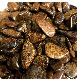 Bronzite - Medium Gemstone Tumbled