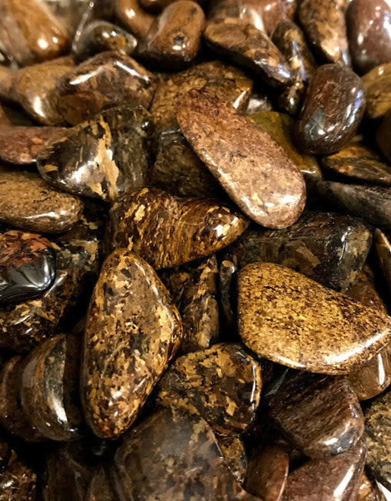 Bronzite - Medium Gemstone Tumbled