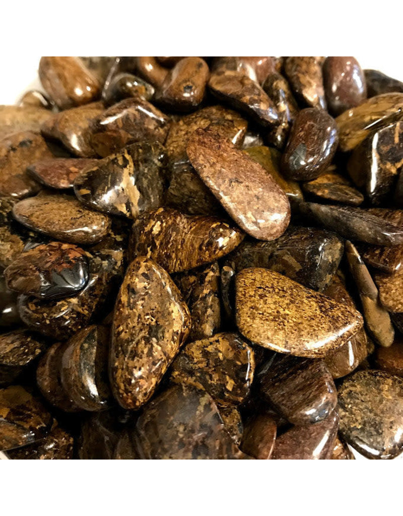 Bronzite - Medium Gemstone Tumbled