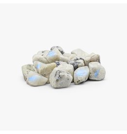 Rainbow Moonstone – Extra Large Gemstone Tumbled