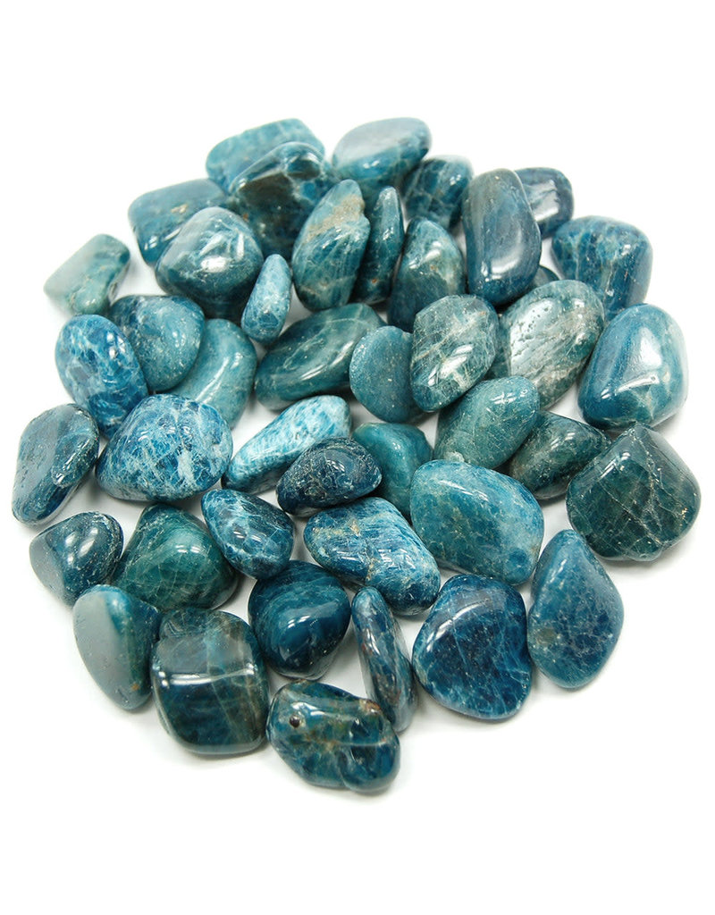 Apatite - Medium Gemstone Tumbled