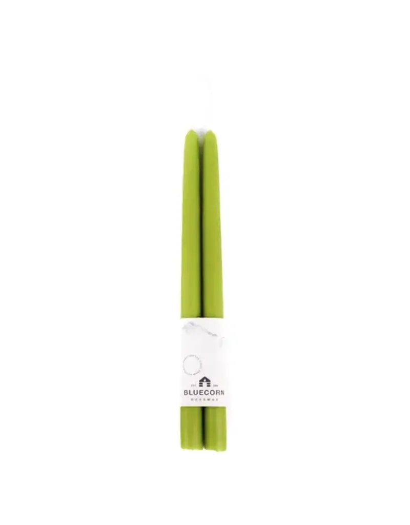 HD Beeswax 12" Taper -  Pistachio