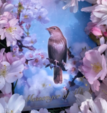 Flower of the Magic Fern Deck