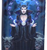 Nemesis Now Moon Witch Embossed Purse (AS) 18.5cm