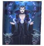 Nemesis Now Moon Witch Embossed Purse (AS) 18.5cm