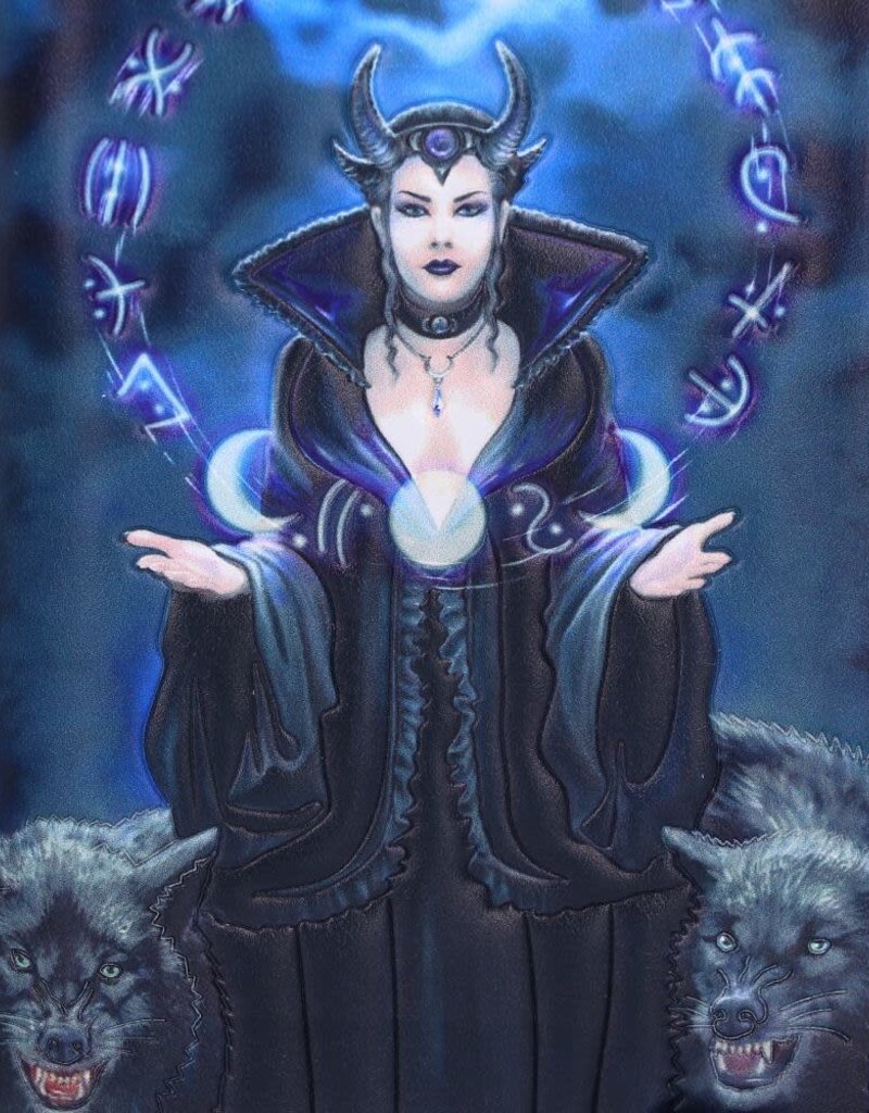 Nemesis Now Moon Witch Embossed Purse (AS) 18.5cm