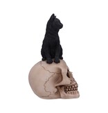 Nemesis Now Familiar Fate 24.3cm (NB)