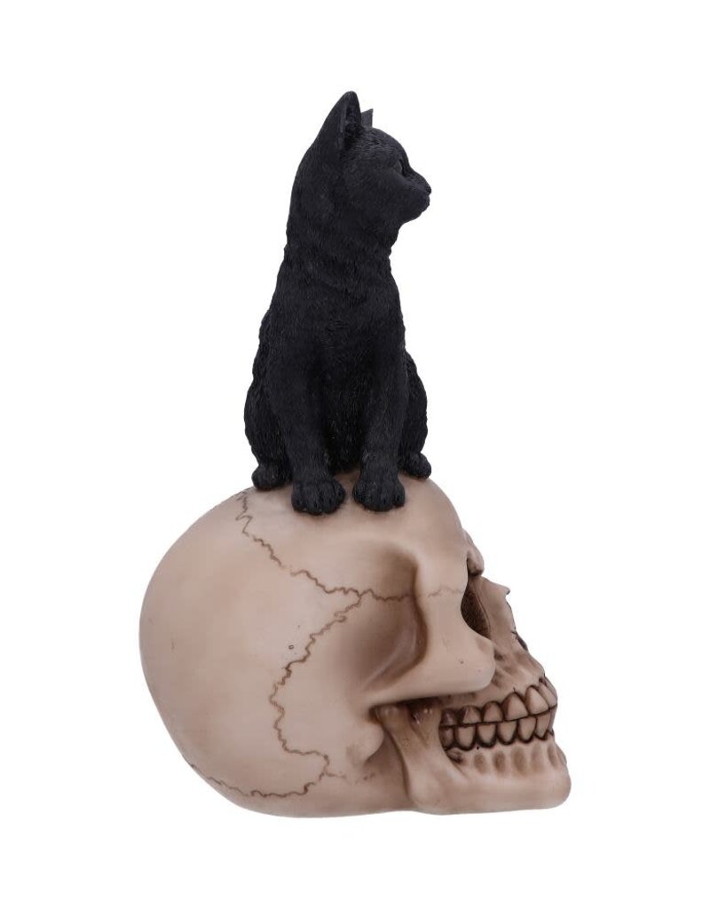 Nemesis Now Familiar Fate 24.3cm (NB)