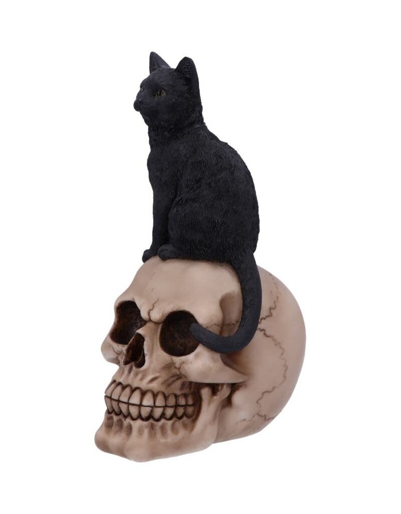 Nemesis Now Familiar Fate 24.3cm (NB)