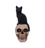 Nemesis Now Familiar Fate 24.3cm (NB)