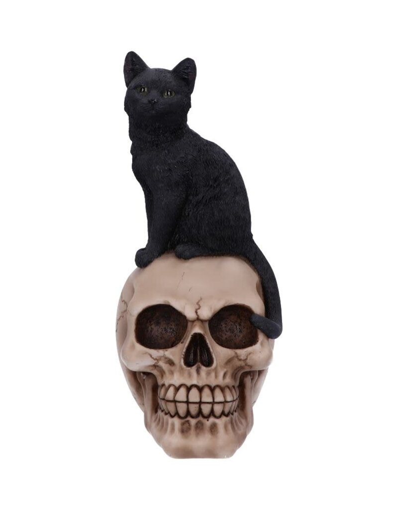 Nemesis Now Familiar Fate 24.3cm (NB)