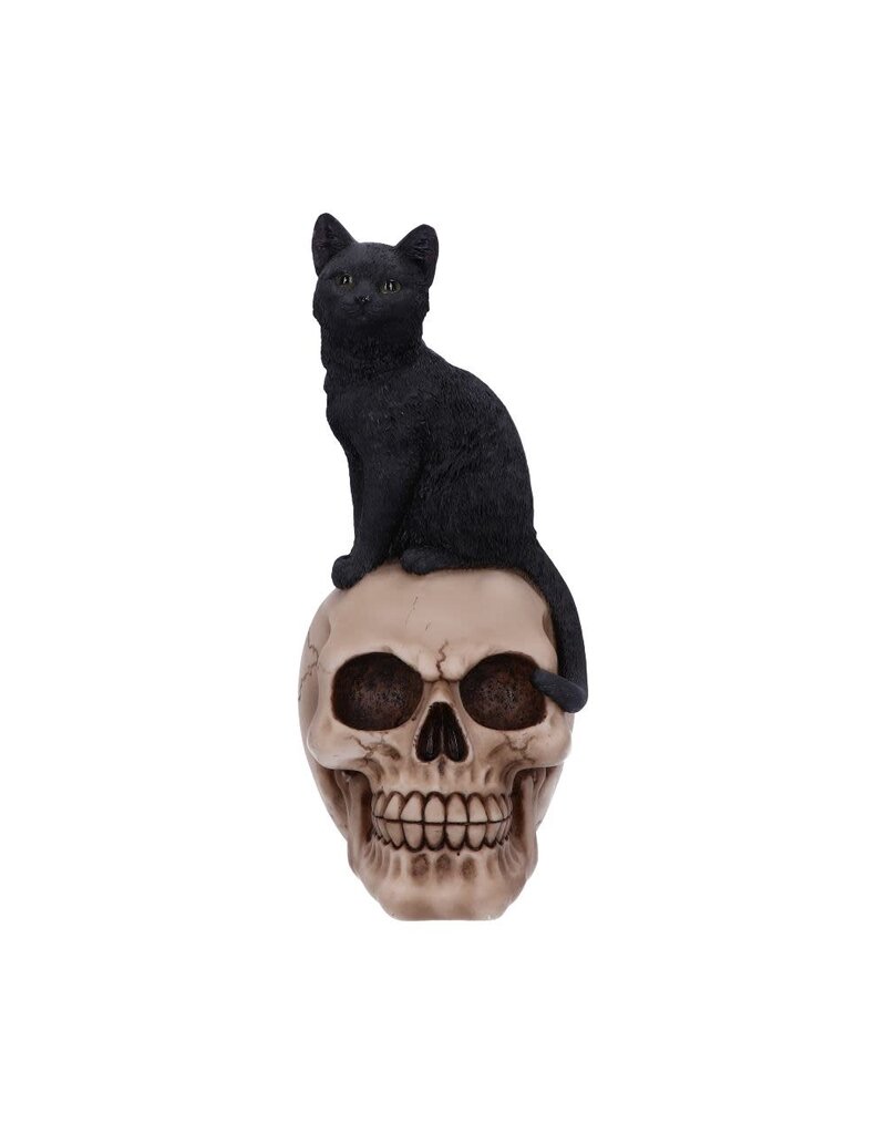 Nemesis Now Familiar Fate 24.3cm (NB)