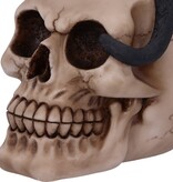 Nemesis Now Familiar Fate 24.3cm (NB)