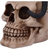 Nemesis Now Familiar Fate 24.3cm (NB)