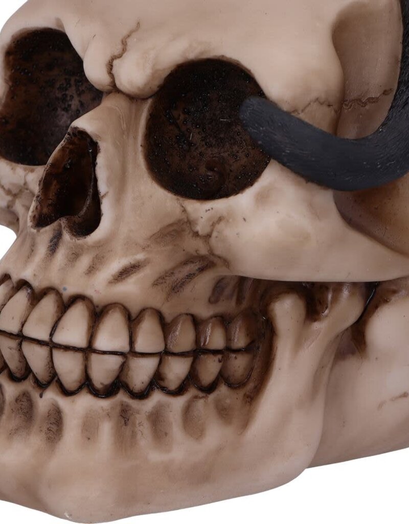 Nemesis Now Familiar Fate 24.3cm (NB)