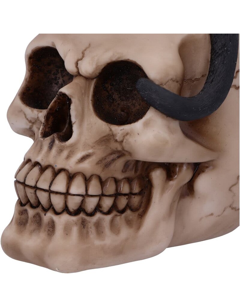 Nemesis Now Familiar Fate 24.3cm (NB)