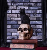 Nemesis Now Familiar Fate 24.3cm (NB)