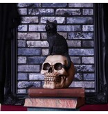 Nemesis Now Familiar Fate 24.3cm (NB)