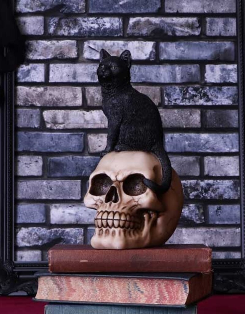 Nemesis Now Familiar Fate 24.3cm (NB)