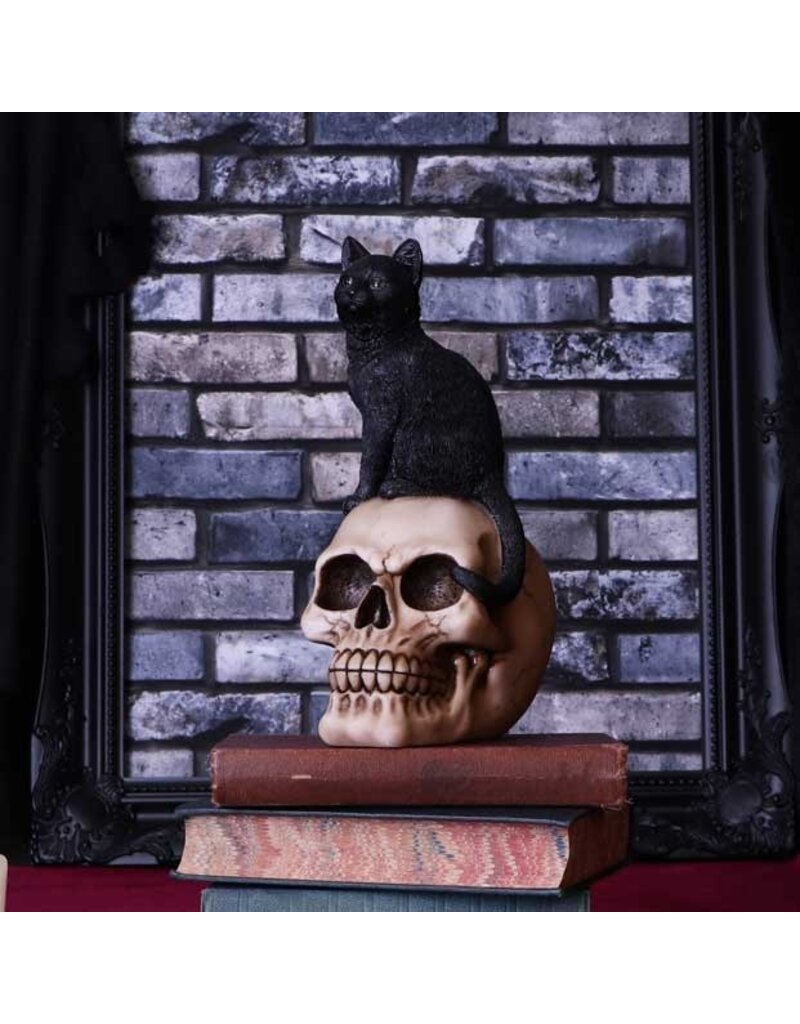 Nemesis Now Familiar Fate 24.3cm (NB)