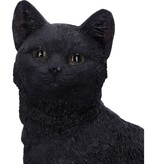 Nemesis Now Familiar Fate 24.3cm (NB)