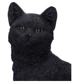 Nemesis Now Familiar Fate 24.3cm (NB)