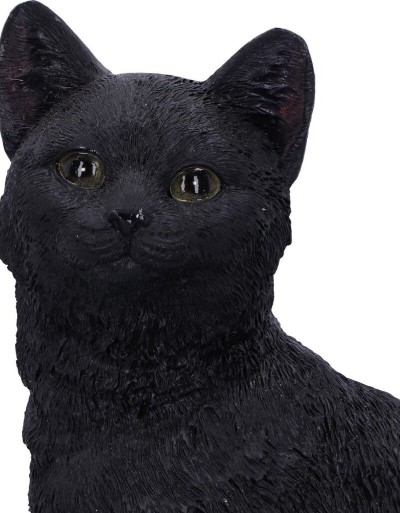 Nemesis Now Familiar Fate 24.3cm (NB)