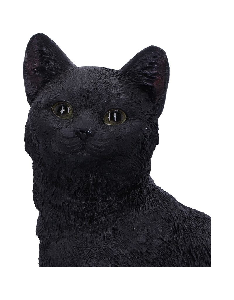 Nemesis Now Familiar Fate 24.3cm (NB)