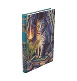 Lisa Parker Book of Shadows Journal (LP) - 17 cm